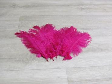 5 Straußenfedern 20 bis 25 cm magenta