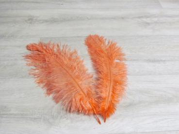 2 Straußenfedern 30 bis 35 cm apricot
