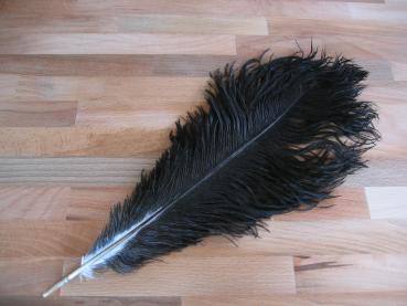 Straußenfeder 45 bis 50 cm naturschwarz