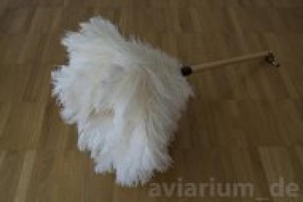 Staubwedel Straußenfedern 70 cm weiß