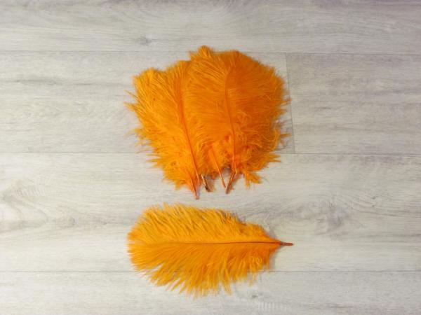10 Straußenfedern 12 bis 20 cm orange