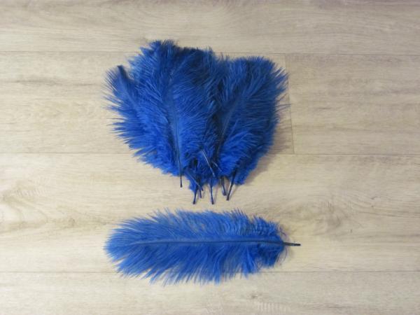 10 Straußenfedern 12 bis 20 cm royalblau