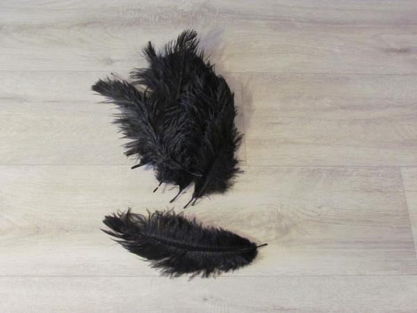 15 Straußenfedern 12 bis 20 cm schwarz B-Ware