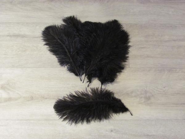 10 Straußenfedern 12 bis 20 cm schwarz