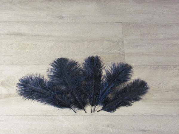 5 Straußenfedern 20 bis 25 cm navy