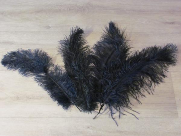 4 Straußenfedern 25 bis 35 cm navy B-Ware