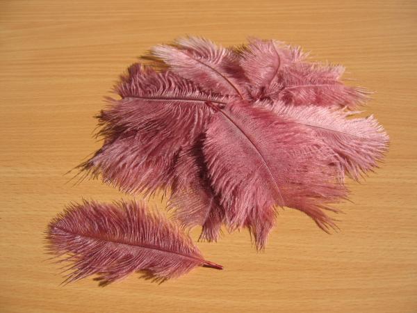 30 kleine Straußenfedern 5 bis 12 cm aubergine