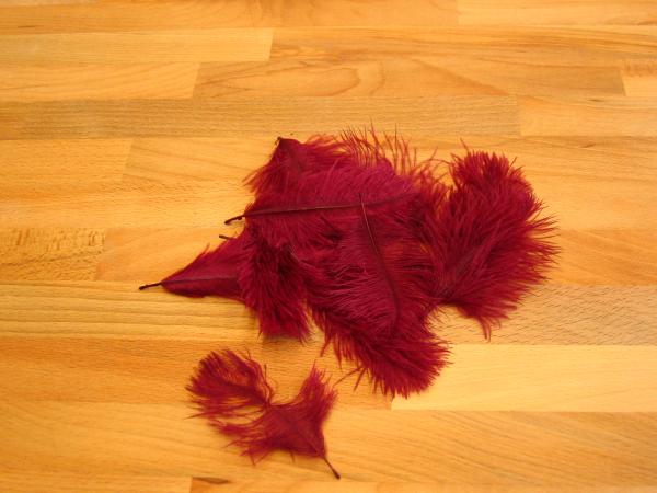 30 kleine Straußenfedern 5 bis 12 cm bordeaux B-Ware