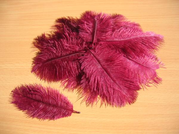 30 kleine Straußenfedern 5 bis 12 cm bordeaux