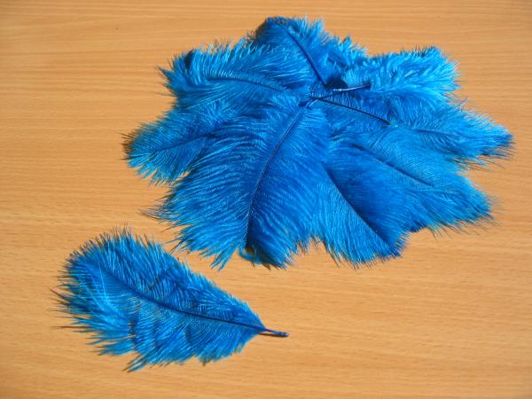 30 kleine Straußenfedern 5 bis 12 cm dunkeltürkis