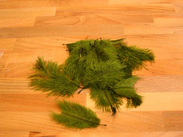30 kleine Straußenfedern 5 bis 12 cm flaschengrün B-Ware