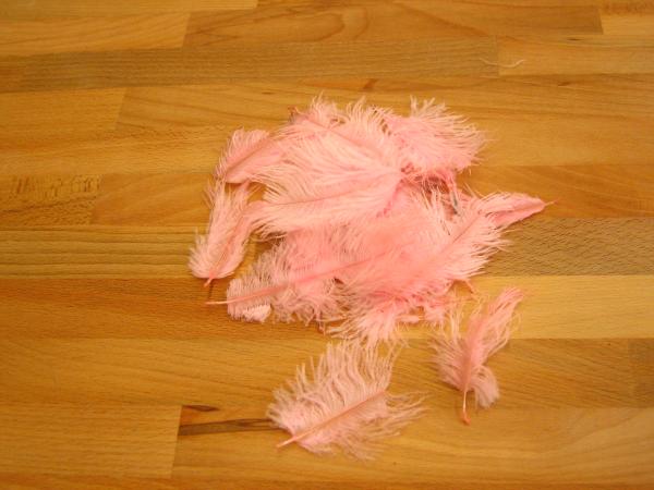 30 kleine Straußenfedern 5 bis 12 cm hellpink B-Ware