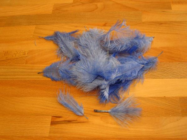 30 kleine Straußenfedern 5 bis 12 cm himmelblau B-Ware