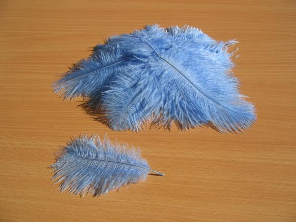30 kleine Straußenfedern 5 bis 12 cm himmelblau