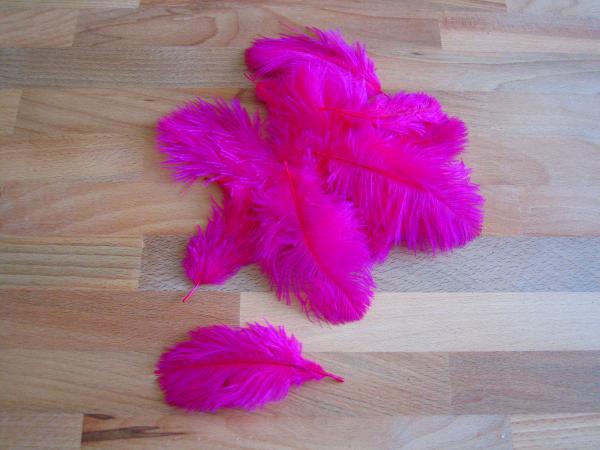 30 kleine Straußenfedern 5 bis 12 cm magenta