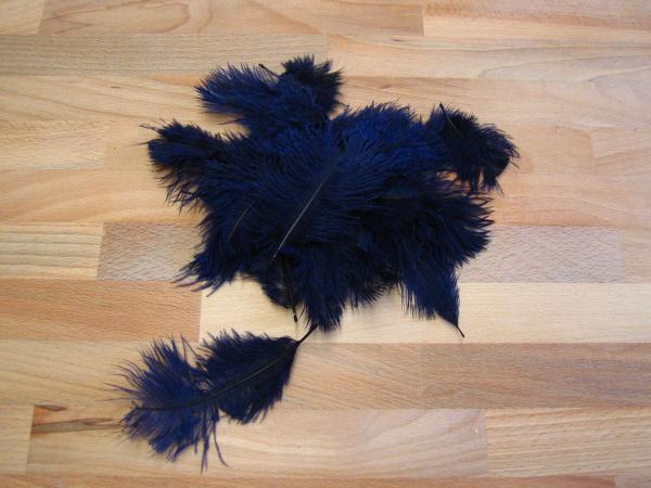 30 kleine Straußenfedern 5 bis 12 cm navy B-Ware