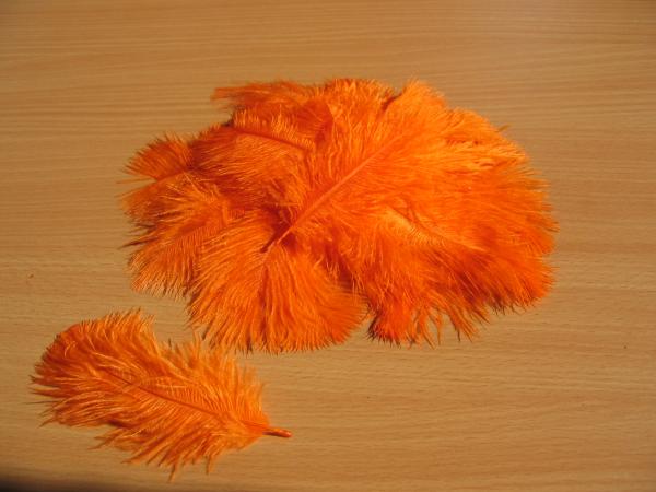 30 kleine Straußenfedern 5 bis 12 cm orange