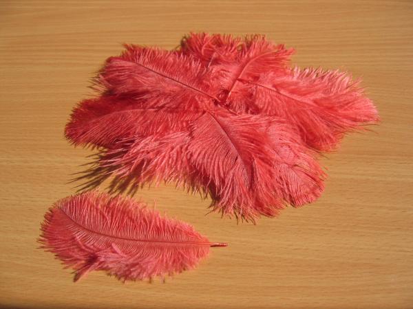30 kleine Straußenfedern 5 bis 12 cm rosapink