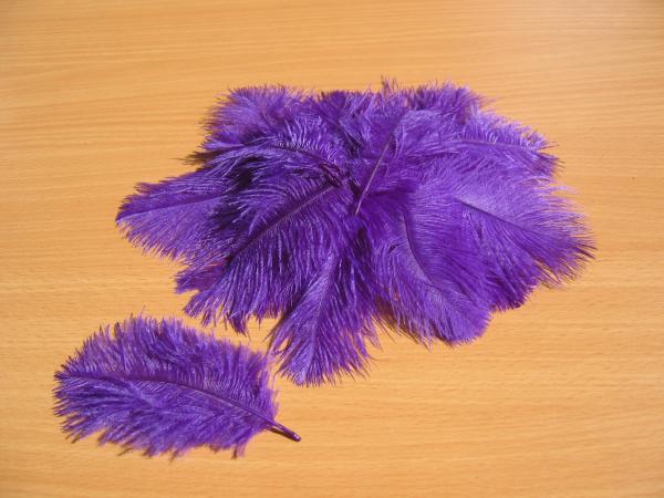 30 kleine Straußenfedern 5 bis 12 cm violett