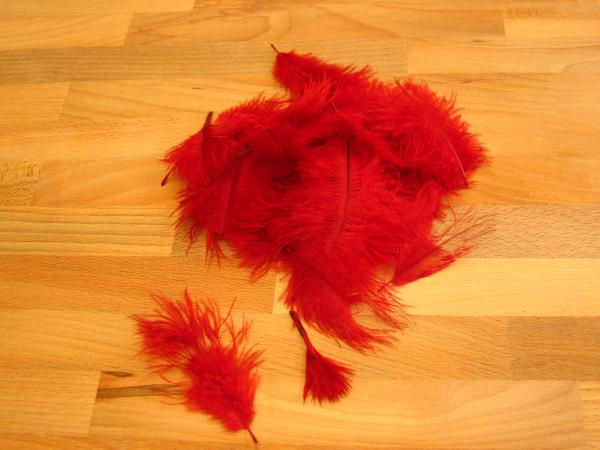 30 kleine Straußenfedern 5 bis 12 cm weinrot B-Ware