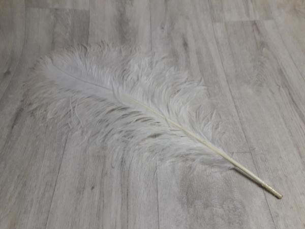 Straußenfeder 50 bis 55 cm naturweiss