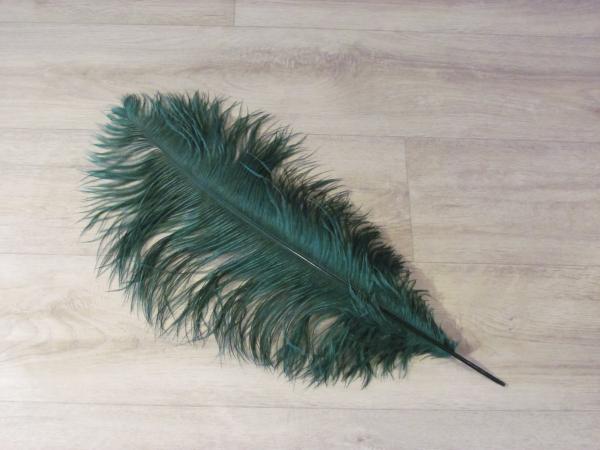 1 Straußenfeder 50 bis 60 cm flaschengrün