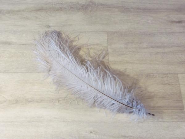 1 Straußenfeder 50 bis 60 cm grau B-Ware